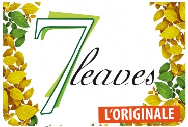Flavourart Aroma - 7 Leaves 10ml